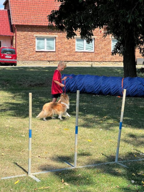 Dobrodružný tábor 13.7.-17.7.2026 15  